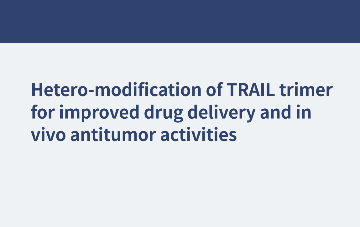 TRAIL三聚體的異修飾以改善藥物傳遞和體內(nèi)抗腫瘤活性
