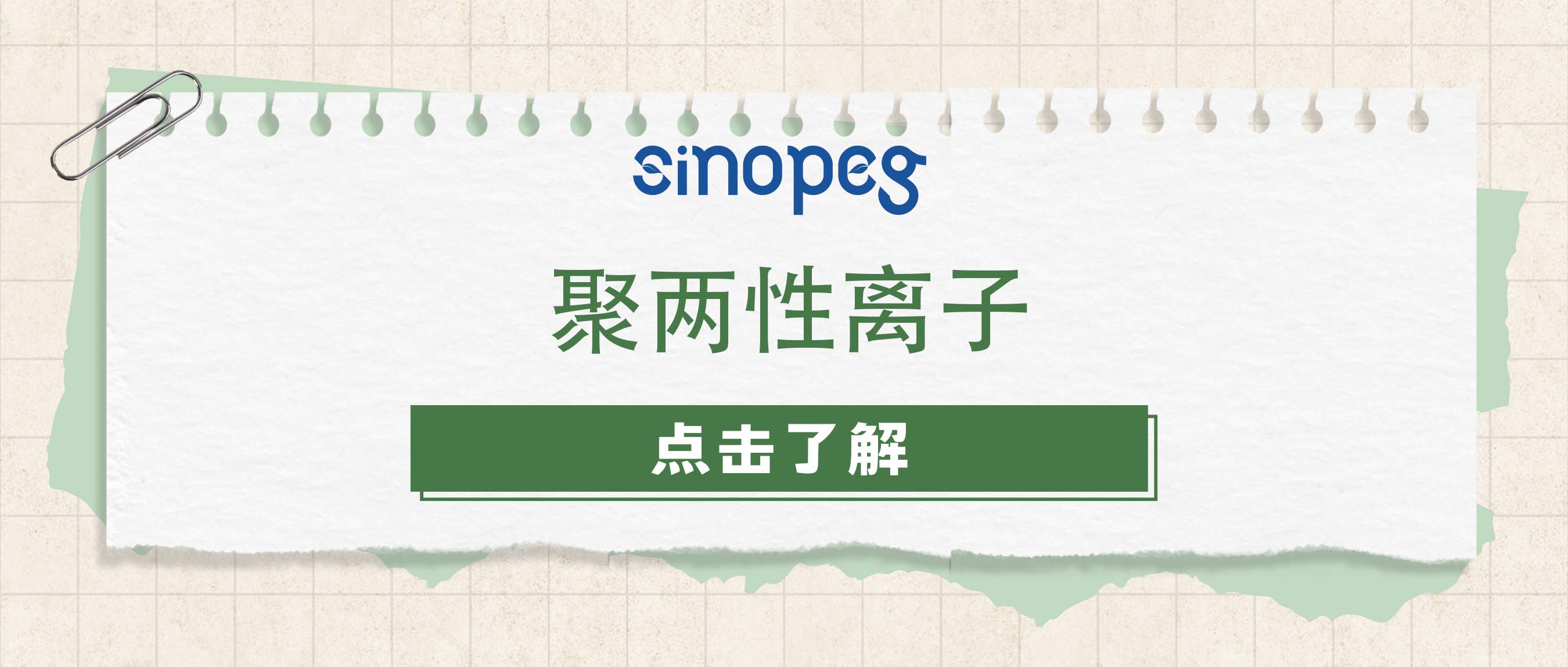 聚兩性離子